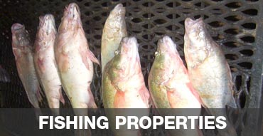 Hunting Properties with Fishing