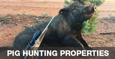 Browse our Pig Hunting Properties