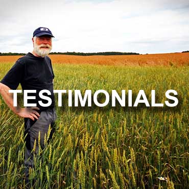 Property Owners Testimonials