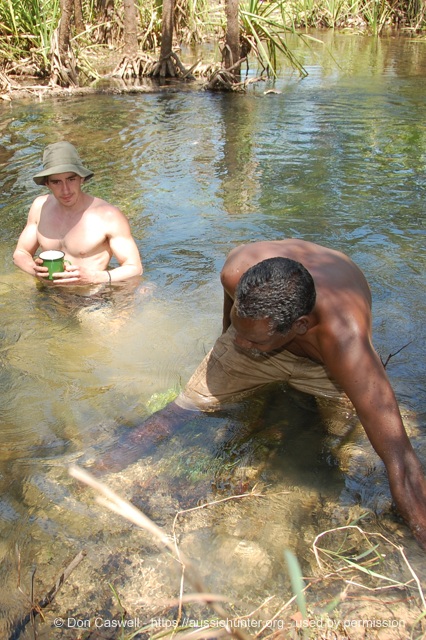 bush tucker collecting water yams