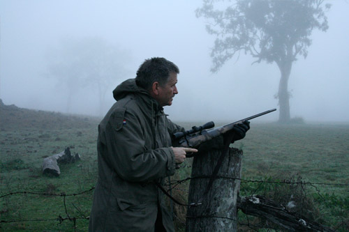 Waiting for deer at the crack of a cold and misty dawn