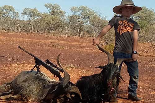 Hunting for Goats in Australia