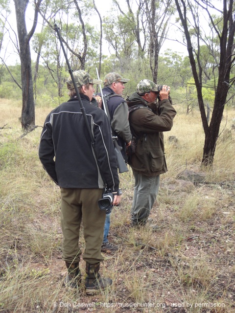 guided deer hunting inland hunting properties 729