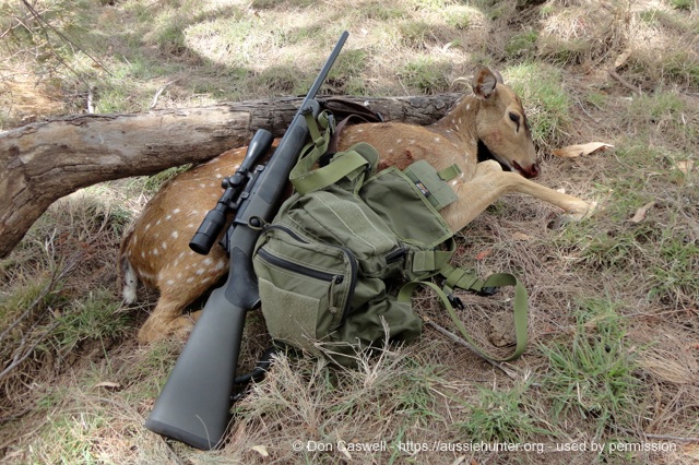 A cull deer taken on an extended foot hunt