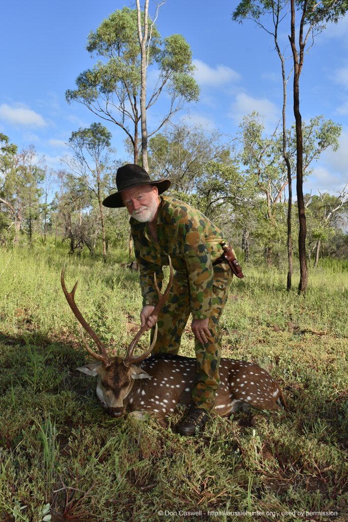 Hunting Chital Deer