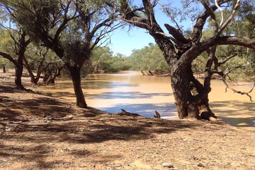 Hunting Waterhole