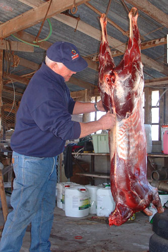 knowing target zones butchering venison