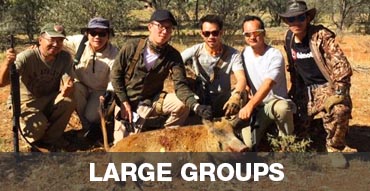 Large Groups Hunting Properties