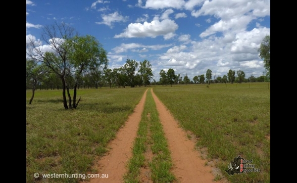 Surat #4 QLD Hunting Property