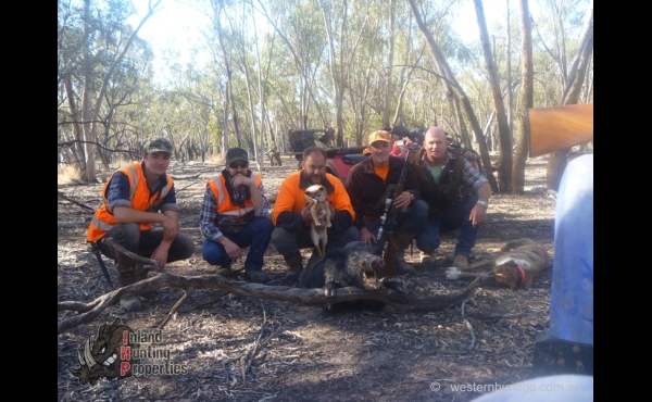 Toompine #1 QLD Hunting Property