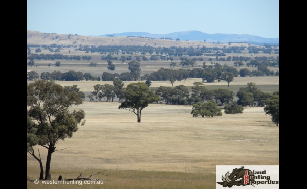 Maryborough VIC Hunting Property