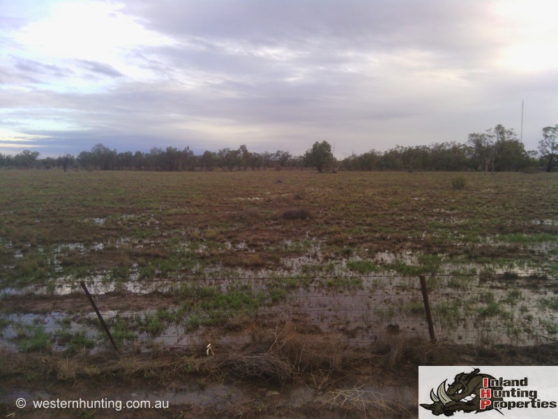 Nsw Deer Hunting Properties Nsw Deer Hunting Properties