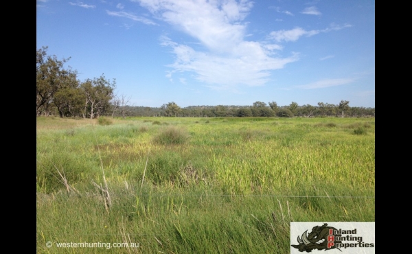 Springsure #1 QLD Hunting Property