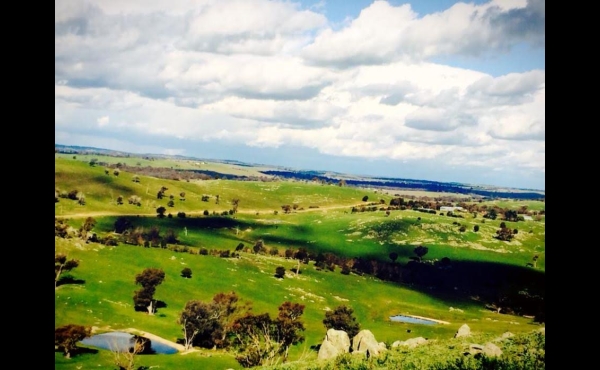 Crookwell #1 NSW Hunting Property