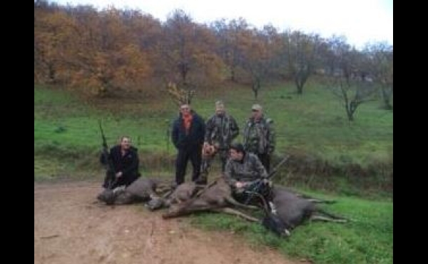 Myrtleford Deer Hunting Property VIC