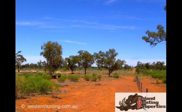 Byrock #3 NSW Hunting Property