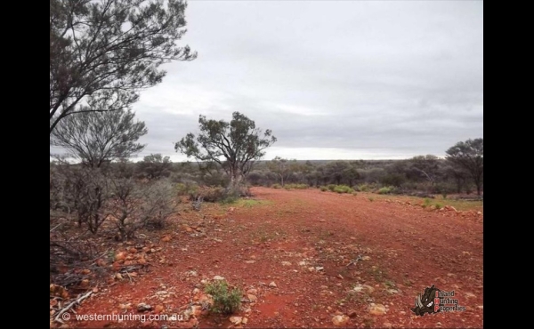 Cunnamulla #9 QLD Hunting Property