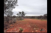 Cunnamulla #9 QLD Hunting Property