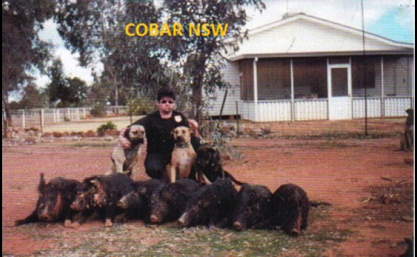 Cobar #2 NSW Hunting Property