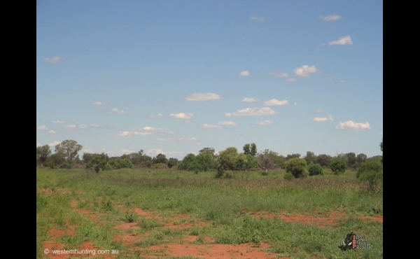 Westmar #2 QLD Hunting Property