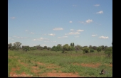 Westmar #2 QLD Hunting Property