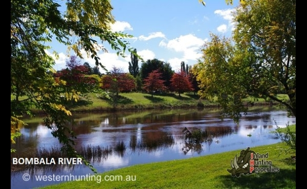 Bombala #1 NSW Hunting Property