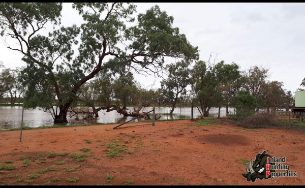 Bollon #3 QLD Hunting Property