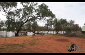 Bollon #3 QLD Hunting Property