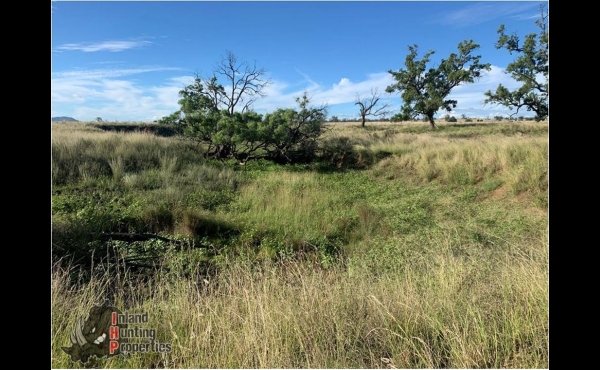 Bingara #2 Hunting Property