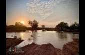 Quilpie #8 QLD Hunting Property