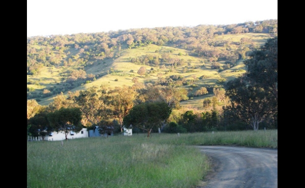 Barraba #2 NSW Hunting Property