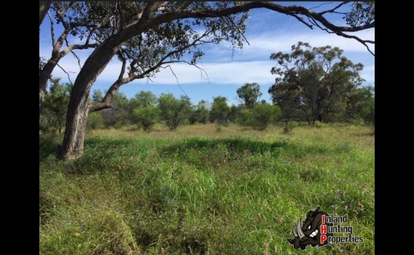 Cunnamulla #10 QLD Hunting Property