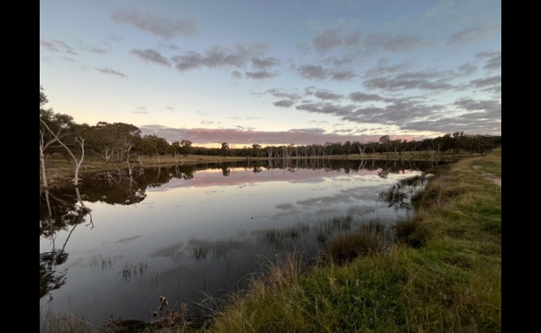 Glen Innes #2 NSW Hunting Property