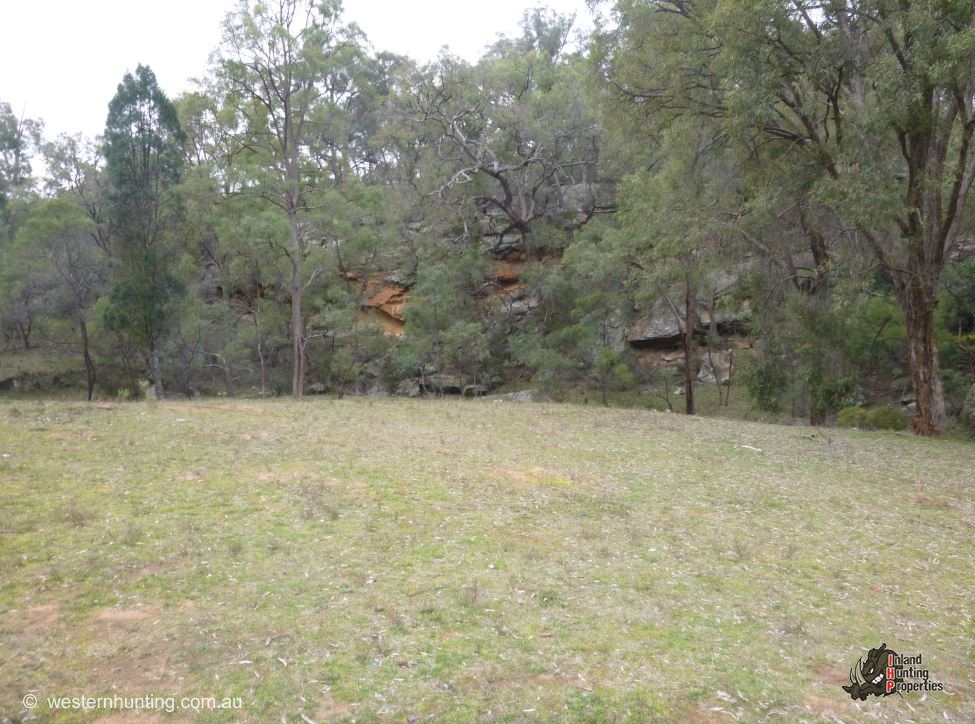 Inland Hunting Properties Inland Hunting Properties Mudgee Hunting Properties