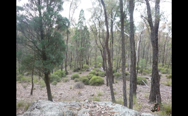 Mudgee North Hunting Property