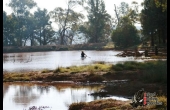 Nymagee #3 NSW Hunting Property