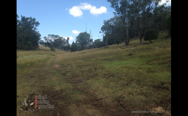 Bingara #1 Hunting Property