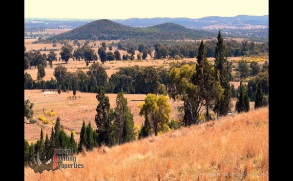 Parkes #1 NSW Hunting Property