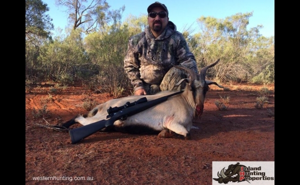 Bourke #1 NSW Hunting Property