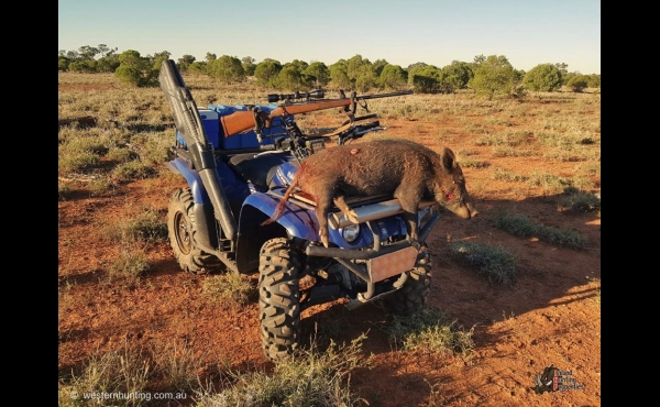 Bollon #1 QLD Hunting Property