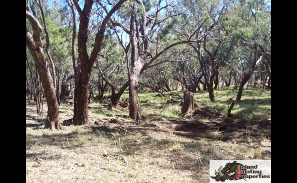 Charleville #2 QLD Hunting Property