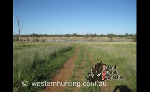 Mitchell #10 Hunting property