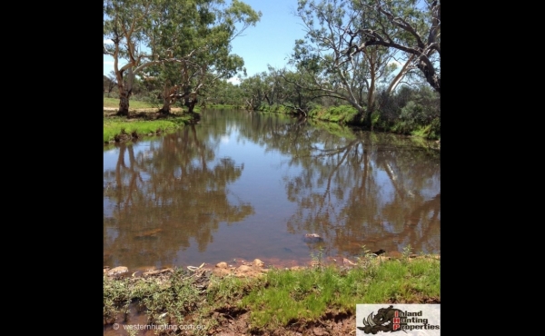 Quilpie #5 QLD Hunting Property