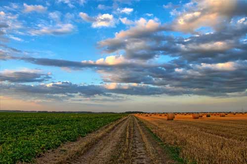 Rural Hunting in Outback Australia