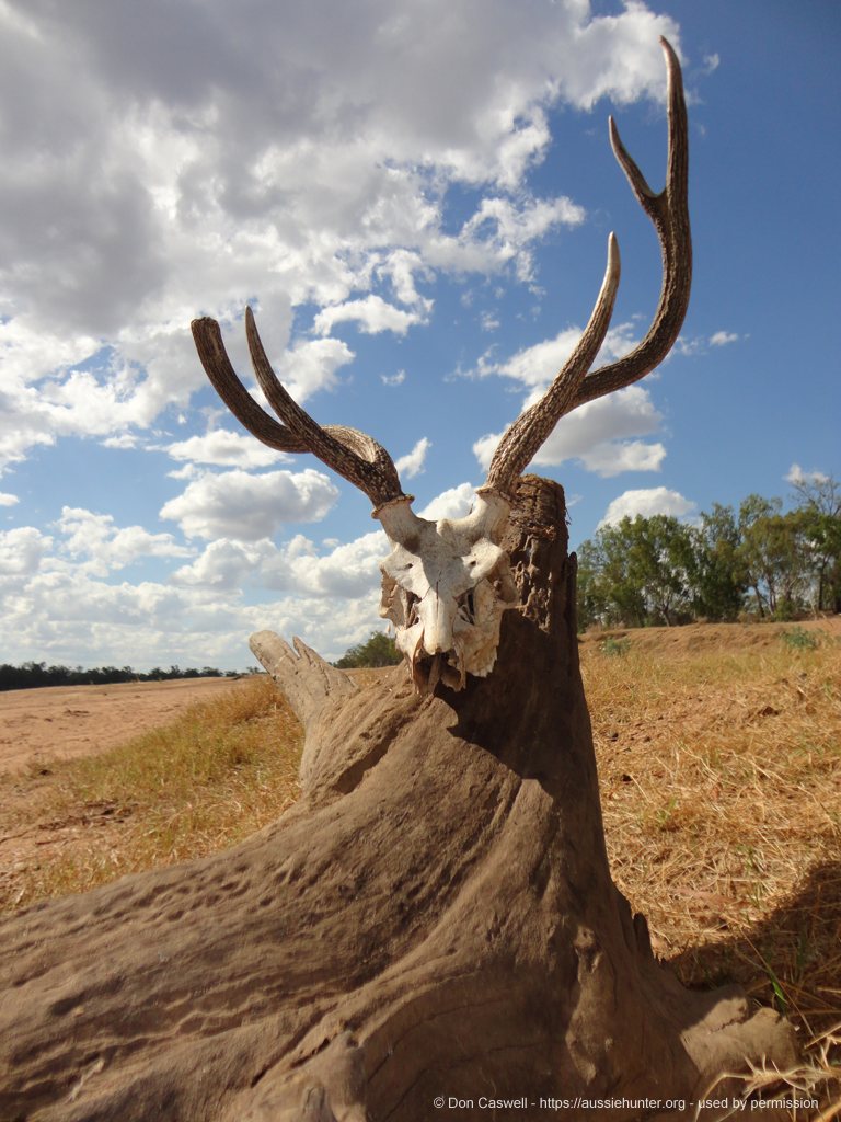 Stony Ridge Deer Hunting