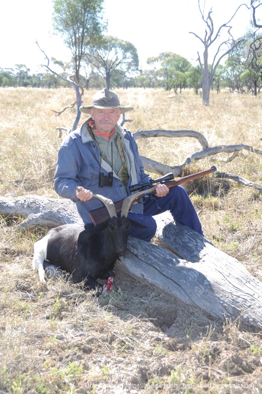 A cull goat taken with a 7x57