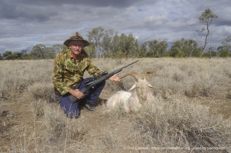 A good sized billy bowled over with premium factory 223 Rem ammo