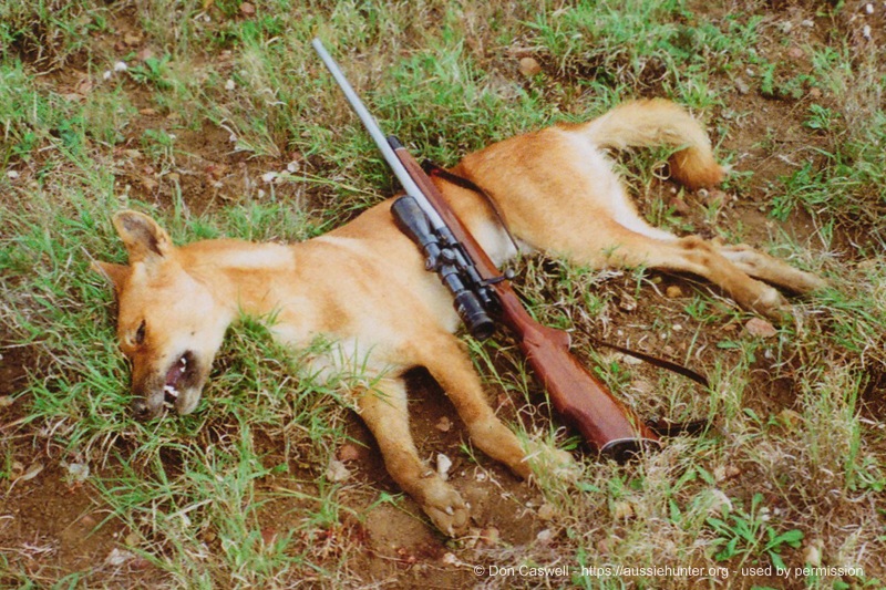 walking in the dark inland hunting properties