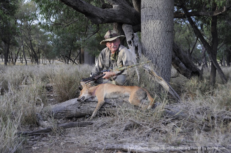 walking in the dark inland hunting properties