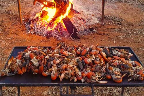 Inland Hunting Properties - Yabbie Fishing Properties - Inland Hunting  Properties